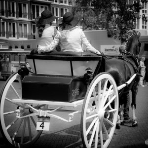 Baptiste-concours equestre à Leeuwarden -04 août 2018-0011